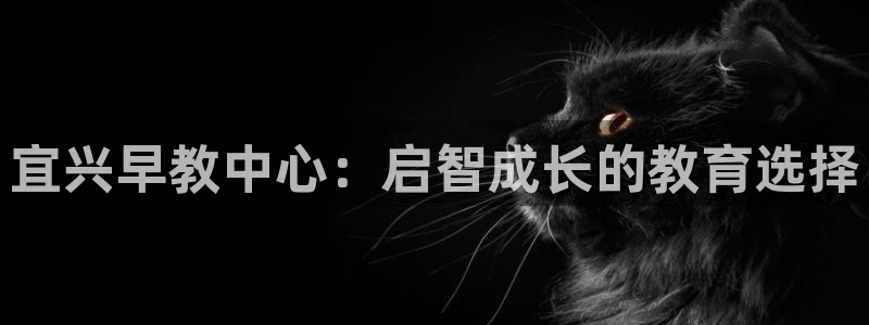 天顺娱乐q徽53339：宜兴早教中心：启智成长的教育选择