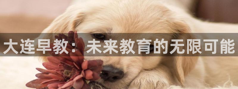 天顺娱乐持333OO：大连早教：未来教育的无限可能