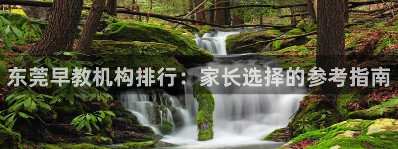 娱乐聊天顺口溜大全：东莞早教机构排行：家长选择的参考指南