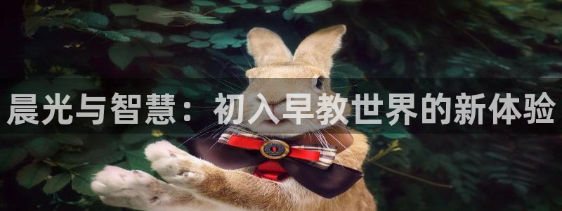 天顺2娱乐平台：晨光与智慧：初入早教世界的新体验