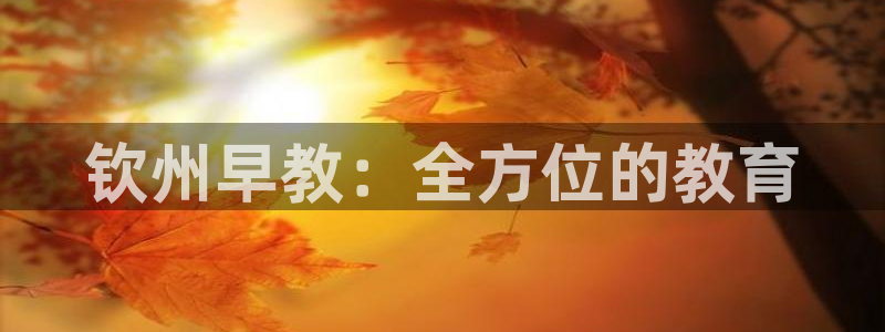 天顺娱乐叧q96303：钦州早教：全方位的教育