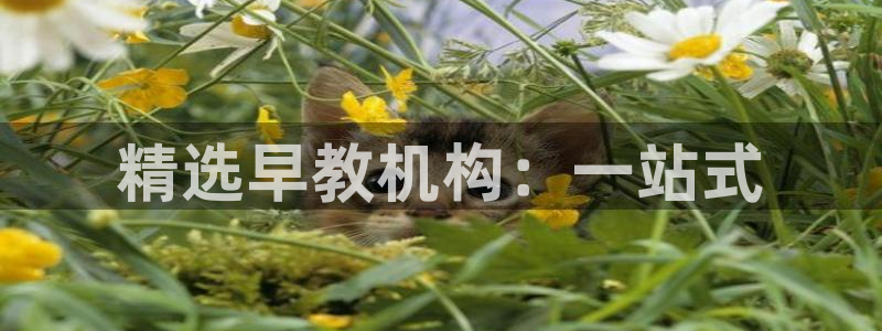 长沙天顺娱乐怎么样啊：精选早教机构：一站式