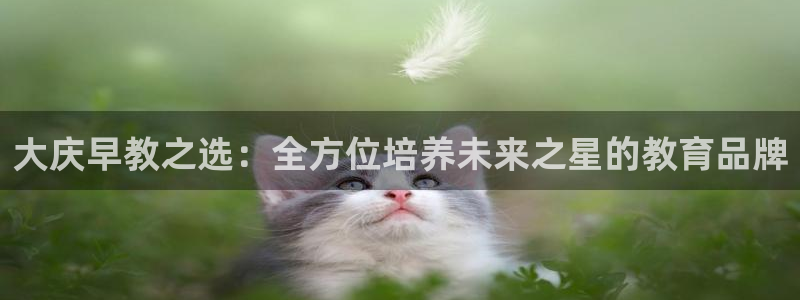 天顺娱乐53551主管：大庆早教之选：全方位培养未来之星的教育品牌