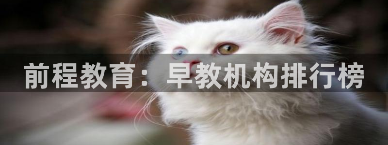 天顺娱乐 k户285580扣c：前程教育：早教机构排行榜