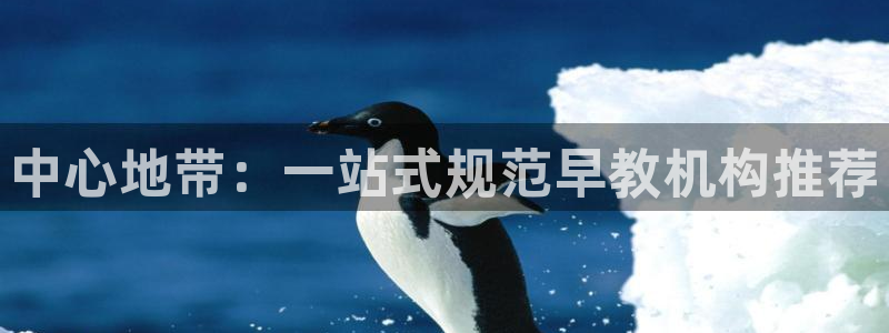 天顺娱乐诽47 344：中心地带：一站式规范早教机构推荐