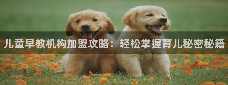 玛雅集团天顺娱乐怎么：儿童早教机构加盟攻略：轻松掌握育儿秘密秘籍