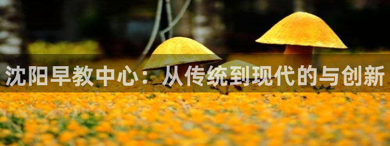 天顺娱乐负责人甘寥pg29999：沈阳早教中心：从传统到现代的与创新