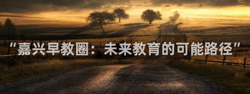 天顺娱乐快绵p官29999：“嘉兴早教圈：未来教育的可能路径”