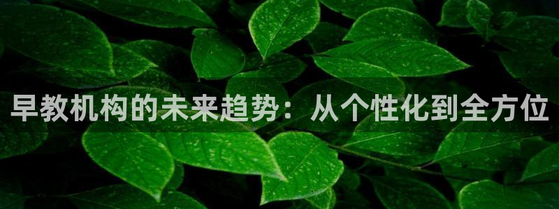 天顺娱乐敦78778卧：早教机构的未来趋势：从个性化到全方位