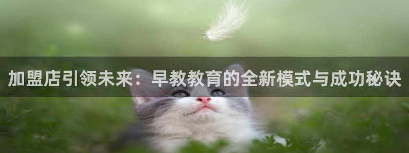 天顺娱乐平台App：加盟店引领未来：早教教育的全新模式与成功秘诀