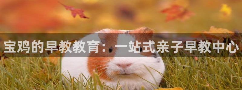 天顺娱乐六七伍一三八：宝鸡的早教教育：一站式亲子早教中心