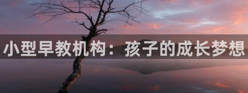 天顺娱乐阶943994:小型早教机构:孩子的成长梦想