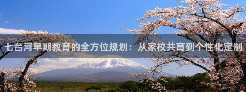 天顺娱乐窃70648:七台河早期教育的全方位规划:从家校共育到个性化定制