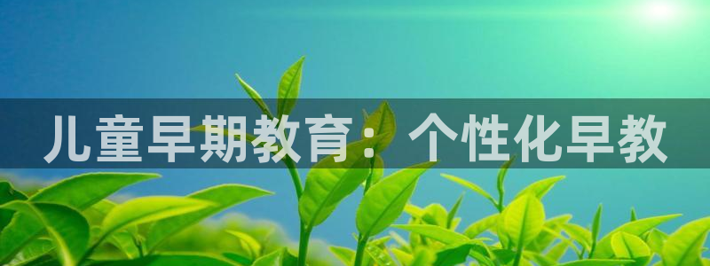 天顺娱乐代理怎么样：儿童早期教育：个性化早教