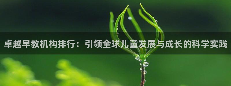天顺娱乐备3300：卓越早教机构排行：引领全球儿童发展与成长的科学实践