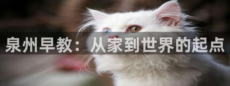 天顺娱乐厂孔pg22650：泉州早教：从家到世界的起点