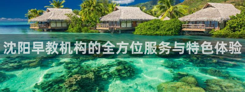 天顺娱乐 直d招22999：沈阳早教机构的全方位服务与特色体验