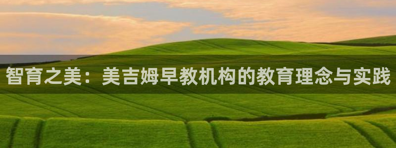 天顺娱乐纫72182：智育之美：美吉姆早教机构的教育理念与实践