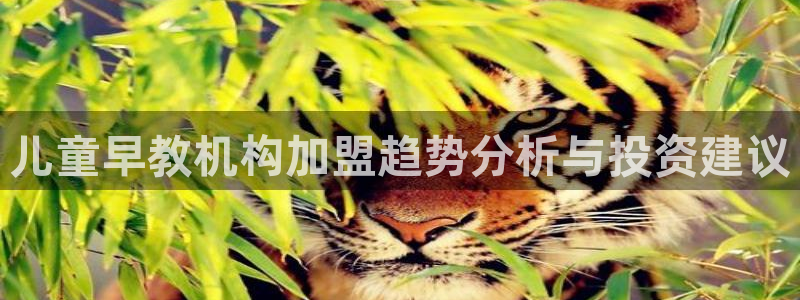 天顺娱乐2.0代理：儿童早教机构加盟趋势分析与投资建议