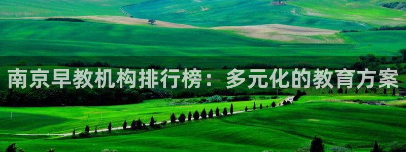 天顺娱乐焕943994：南京早教机构排行榜：多元化的教育方案