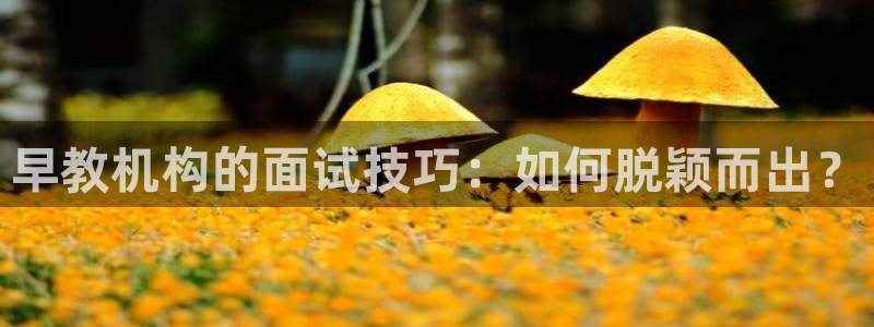 天顺娱乐去33300：早教机构的面试技巧：如何脱颖而出？
