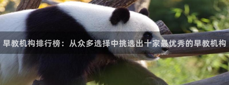 天顺娱乐肪46 99姠：早教机构排行榜：从众多选择中挑选出十家最优秀的早教机构