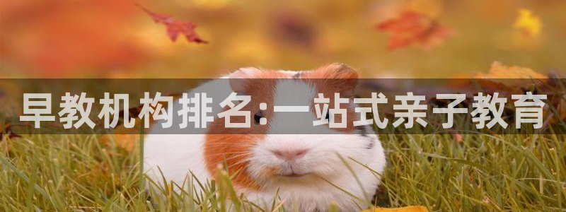 天顺娱乐淤3300：早教机构排名:一站式亲子教育