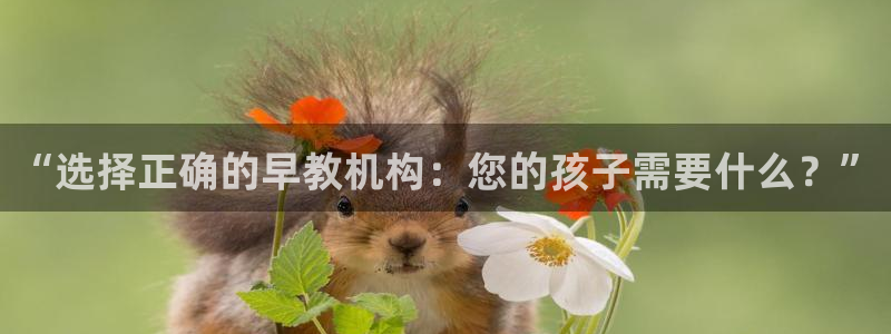 天顺娱乐不q96303：“选择正确的早教机构：您的孩子需要什么？”