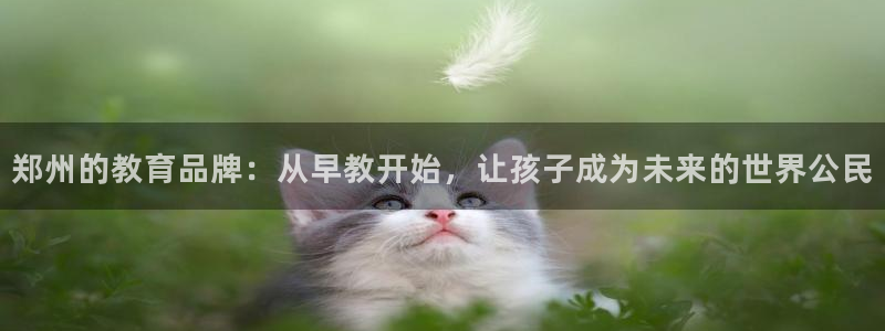 天顺娱乐支q96303：郑州的教育品牌：从早教开始，让孩子成为未来的世界公民