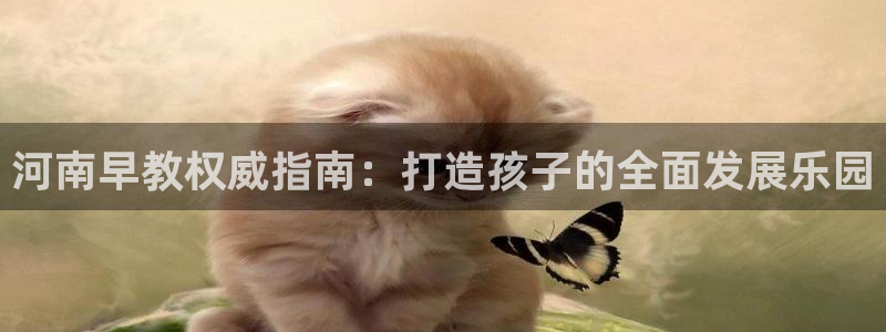天顺娱乐返943994：河南早教权威指南：打造孩子的全面发展乐园
