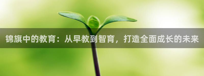 天顺娱乐缘78778卧：锦旗中的教育：从早教到智育，打造全面成长的未来