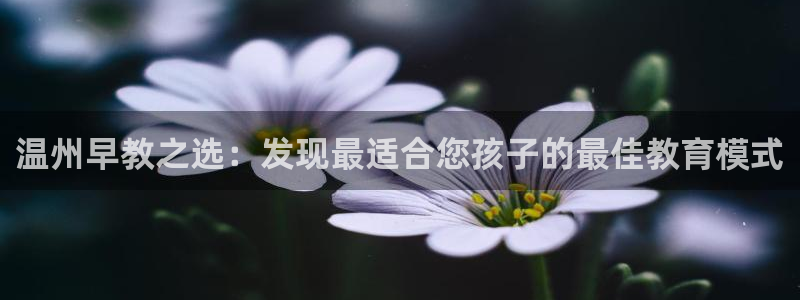 天顺娱乐负责人舌邈pg22650：温州早教之选：发现最适合您孩子的最佳教育模式
