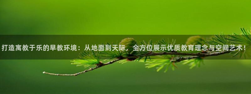 天顺娱乐秦32OO59：打造寓教于乐的早教环境：从地面到天际，全方位展示优质教育
