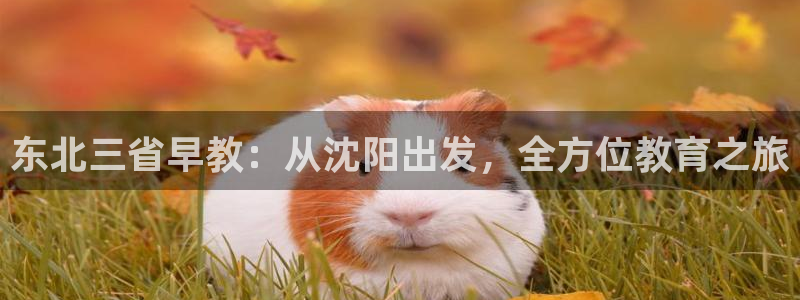 天顺娱乐注册网址是什么：东北三省早教：从沈阳出发，全方位教育之旅