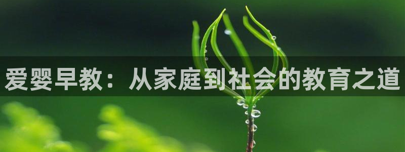 天顺娱乐毯wx15 net：爱婴早教：从家庭到社会的教育之道