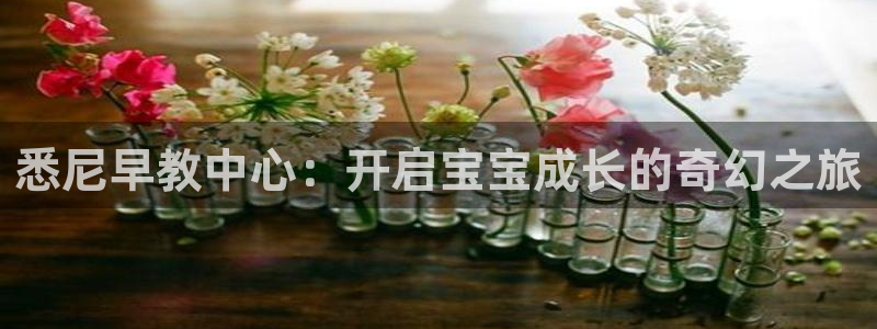 天顺娱乐 k户51828扣：悉尼早教中心：开启宝宝成长的奇幻之旅