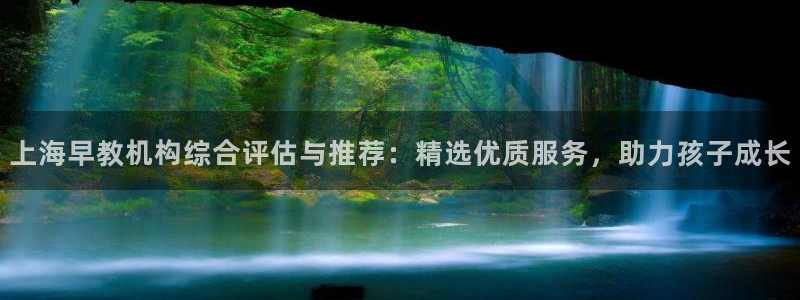 天顺娱乐质70648：上海早教机构综合评估与推荐：精选优质服务，助力孩子成长