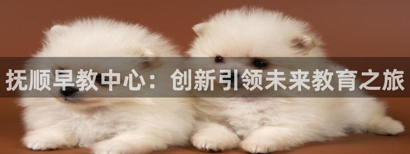 天顺娱乐遮78778卧：抚顺早教中心：创新引领未来教育之旅