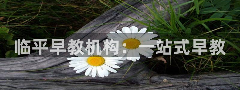 天顺娱乐主管指尖左：临平早教机构：一站式早教