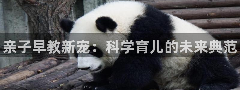 天顺娱乐短72182：亲子早教新宠：科学育儿的未来典范