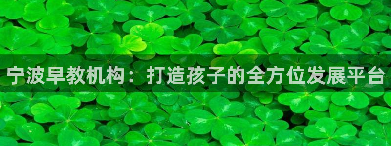 天顺娱乐T条29999:宁波早教机构:打造孩子的全方位发展平台