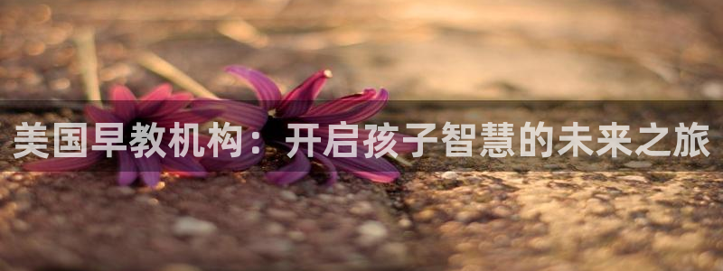 天顺娱乐信誉平台1720 com:美国早教机构:开启孩子智慧的未来之旅