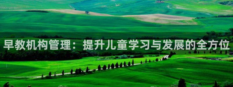 天顺娱乐分943994:早教机构管理:提升儿童学习与发展的全方位