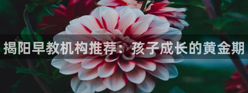 天顺娱乐火儿pg22650：揭阳早教机构推荐：孩子成长的黄金期