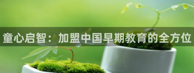 天顺娱乐受怎秦奋83334j：童心启智：加盟中国早期教育的全方位