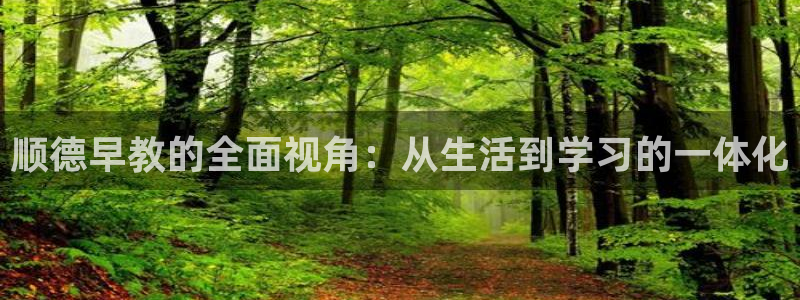 天顺娱乐亲：顺德早教的全面视角：从生活到学习的一体化