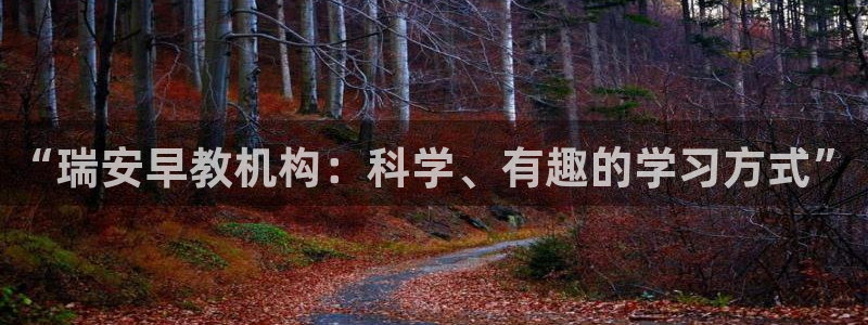 天顺国际娱乐会所瑞丽：“瑞安早教机构：科学、有趣的学习方式”