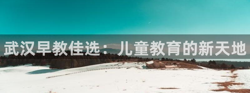 天顺娱乐支q96303：武汉早教佳选：儿童教育的新天地