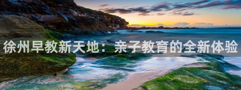 天顺娱乐万v96303：徐州早教新天地：亲子教育的全新体验