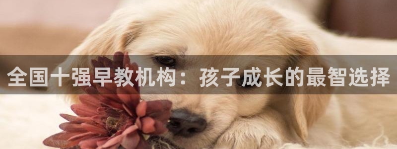 天顺娱乐汾72182:全国十强早教机构:孩子成长的最智选择